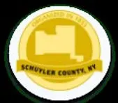 Schuyler Cnty Govt. Seal.2023CROP.jpg